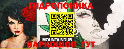 МДПВ Мариинск
